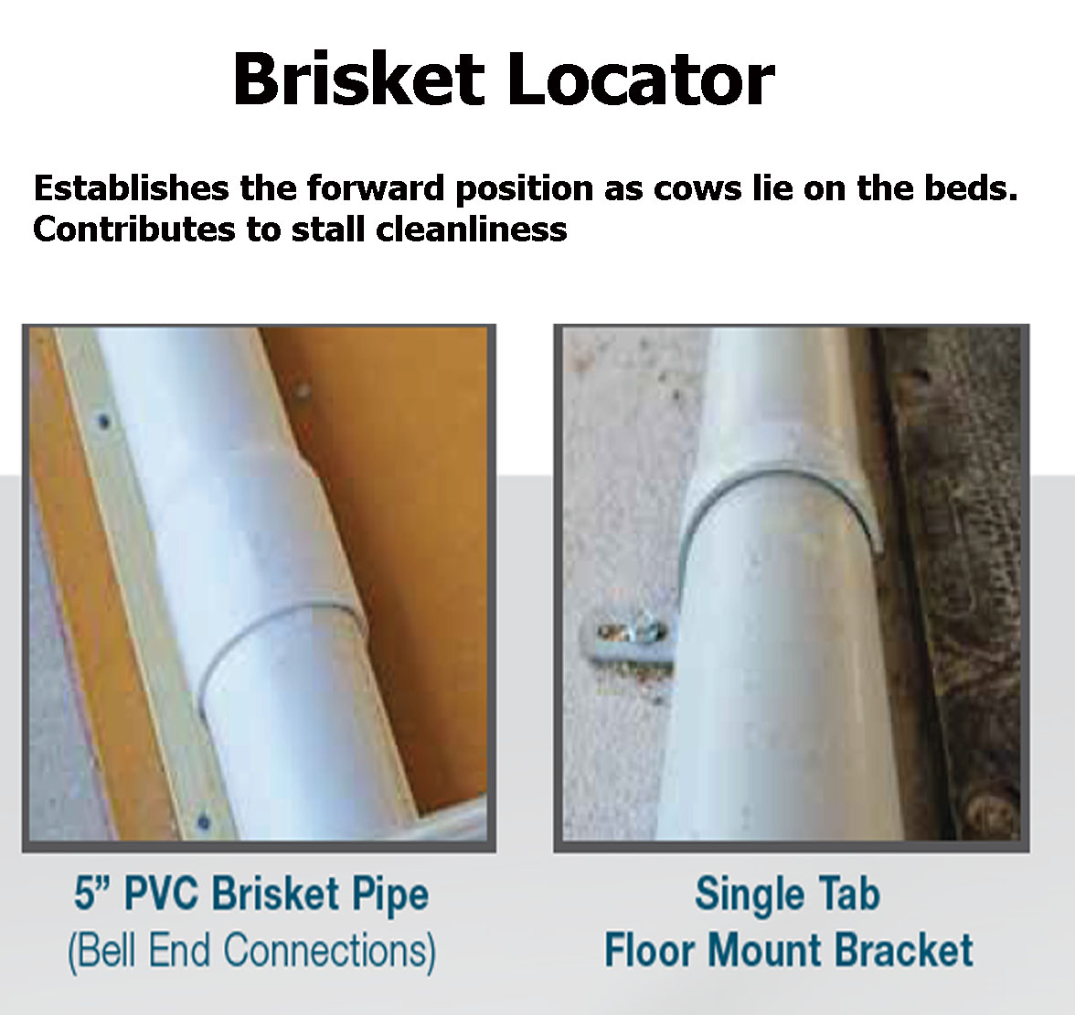 Stall Mounted Adjustable Brisket Locator